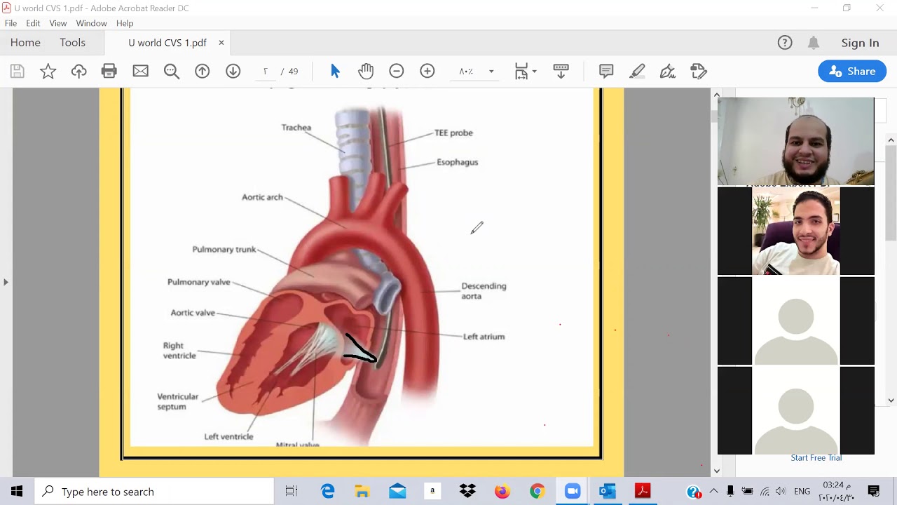 TOXIC USMLE -DR Ibrahem Gamal -Q &  A -ابراهيم جمال -بالعربي حل -CVS 1