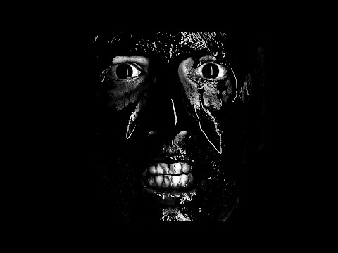 FIDLAR - FSU (Official Video)