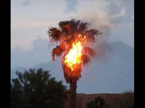 Eroc - Der Prophet (Germany, 1982)