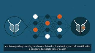 Quantib Prostate
