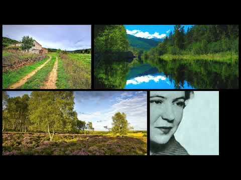 Video thumbnail for Vino piju age Sarajlije