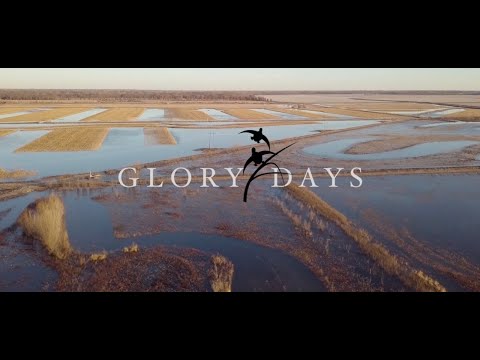 "The Warm Up" | Glory Days: Chronicles of the Habitat Flats Guide
