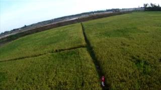 preview picture of video 'paramotor sungai petani'