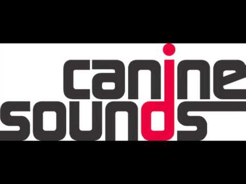 caninesounds Bounce Dylan Rhymes Remix Spinout Records