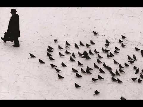 Black and White from the Masters of Photography