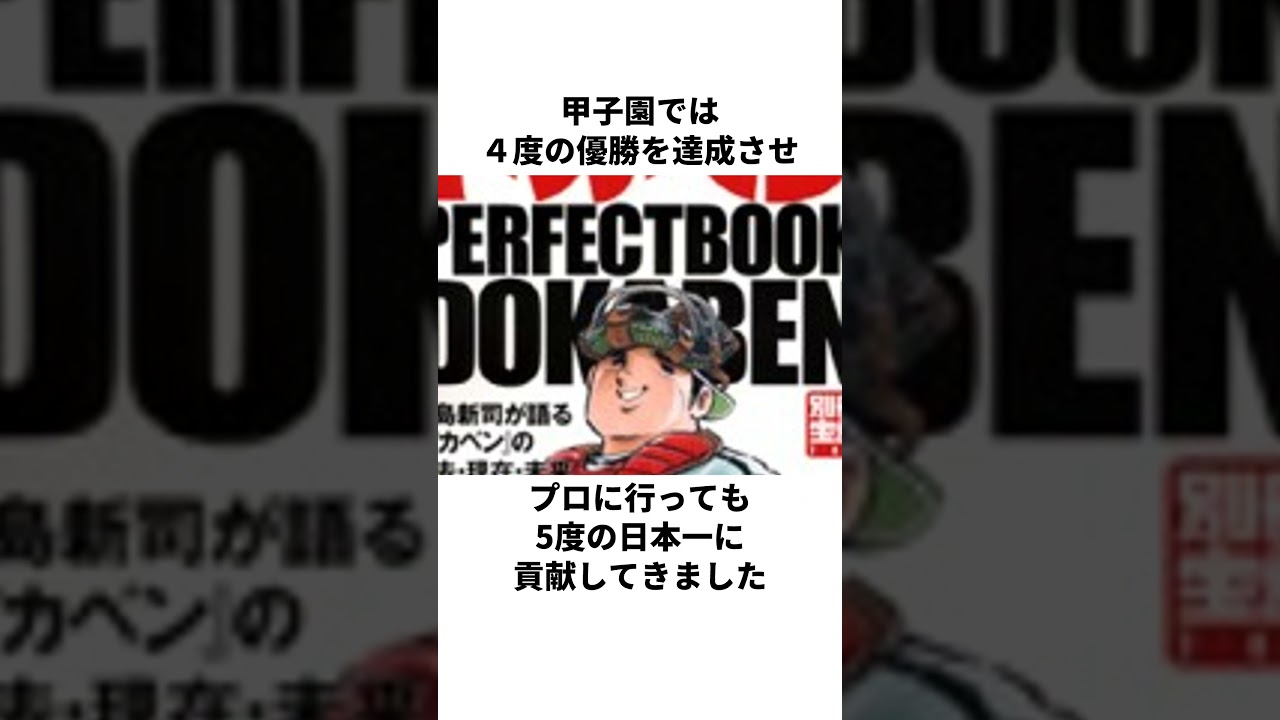 「捕手・打率7割・無敗の投手」ドカベン山田太郎について解説#野球#ドカベン #アニメ