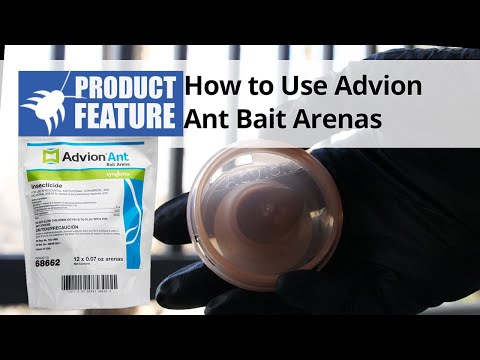  How to Use Advion Ant Bait Arenas Video 