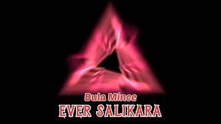 Download lagu Dula Mince - Ever Salikara Ft Boorcay | Discotanah!! mp3