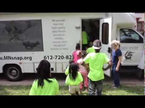 MN SNAP: Why Spay/Neuter?  This is Why We Do it.