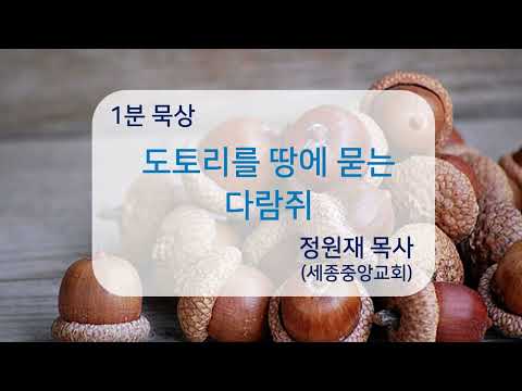 YouTube 영상 썸네일