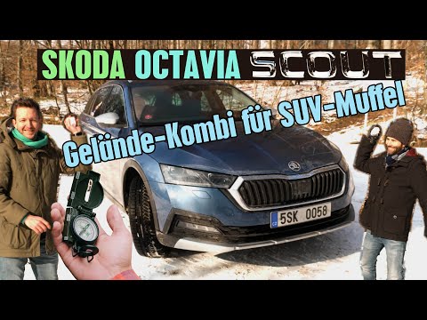 Skoda Octavia Scout (2020) (4K UHD) - Allrad-Offroad-Kombi mit 200 PS Diesel im Test | Cars & Cakes