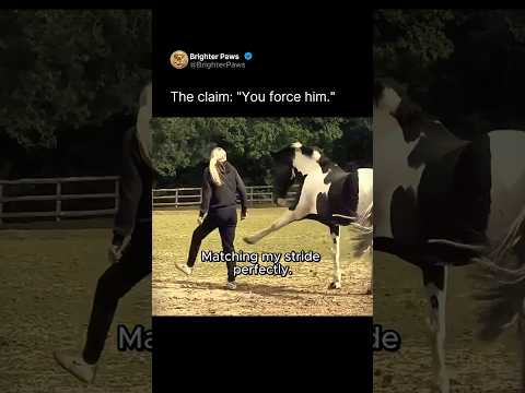 Watch them say I forced my horse into this 🐴