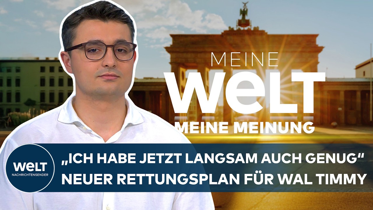 MEINUNG: „Das macht mir Hoffnung“ – Heimerzheim über finalen Rettungsplan für Wal Timmy