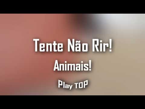 Tenta não rir #1