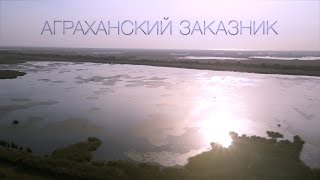 Аграханский залив рыбалка база дагестанская