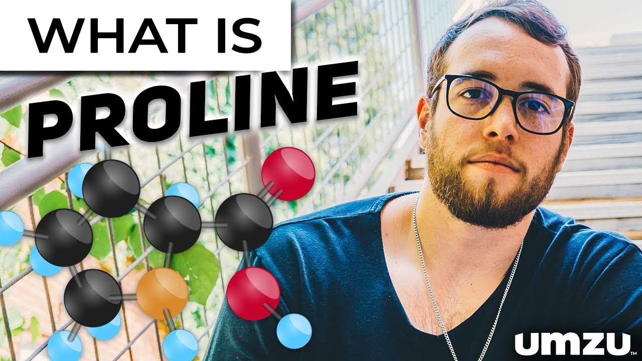 What is Proline? - YouTube
