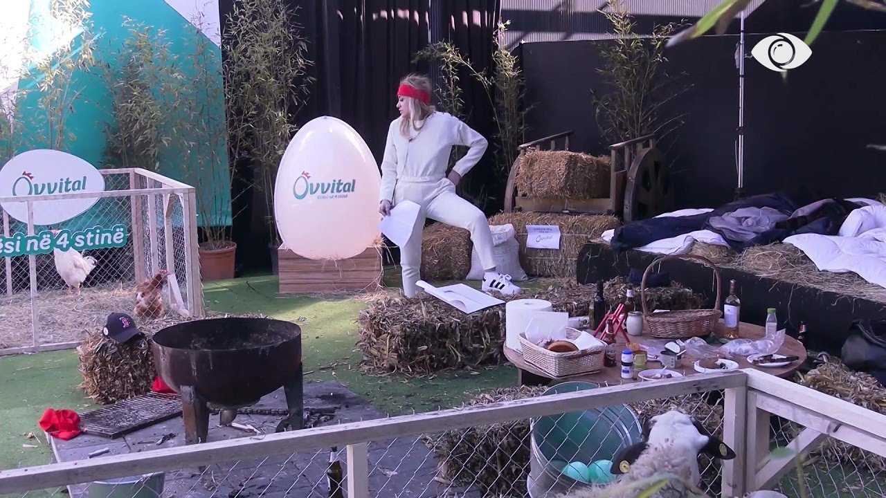 Mëngjes ndryshe për banorët në fermë, Heidi ushqen delet