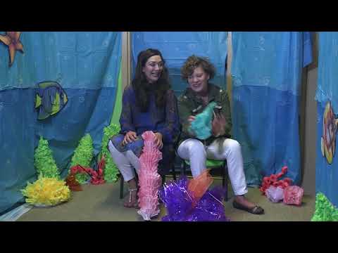 download lagu mp3 mp4 Shipwrecked Vbs Decorations, download lagu Shipwrecked Vbs Decorations gratis, unduh video klip Shipwrecked Vbs Decorations