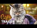 Cats 2019 Trailer Recreated With Real Cats
