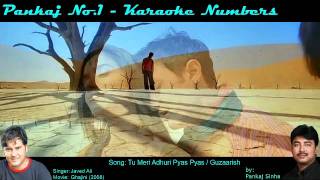 Tu Meri Adhuri Pyas Pyas - Karaoke Sing along Song