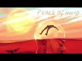 Rema - Peace Of Mind (Official Instrumental)