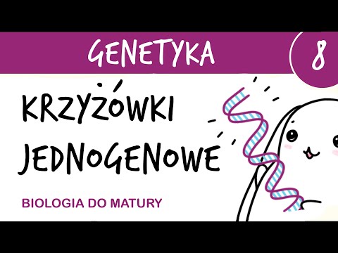 Genetyka 8🧬 Genetyka klasyczna - krzyżówki jednogenowe, testowe - matura z biologii rozszerzona