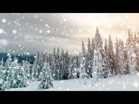 Merry Christmas To You - Loving Caliber feat. Andy Delos Santos I Christmas Song