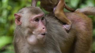 13 MINUTES OF HARD, RAUNCHY, SWEATY, GRINDING....