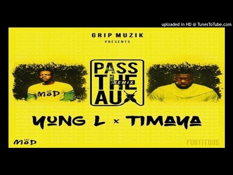 YunG-L-Pass-The-Aux-Remix-ft-Timaya (2016 MUSIC)