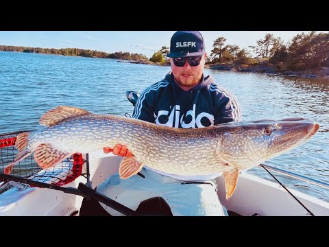 Fishing And Catching A Monster Pike!