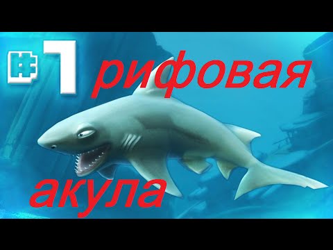 Hungry shark |1| рифовая акула