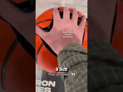 NBA Players Size Comparison - Shaq's Hands are Huge