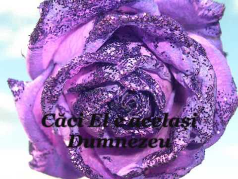 Adonia -Arcuri încordate