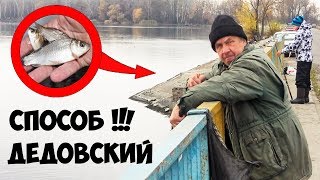 Где можно купит живца для рыбалки