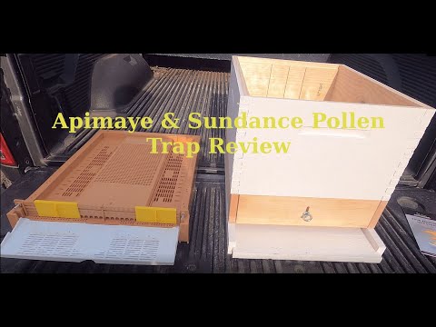 Apimaye vs  Sundance Pollen Trap Review