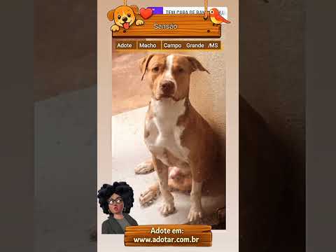 Vídeo de Sansão 