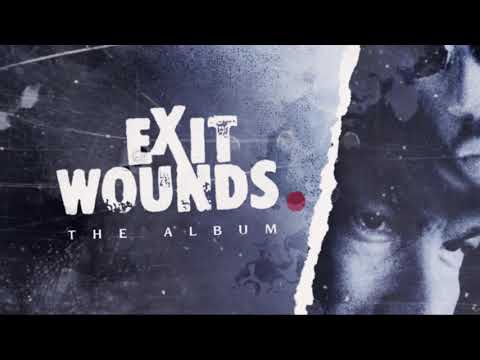 Trick Daddy - We Got feat. Trina (Visualizer)