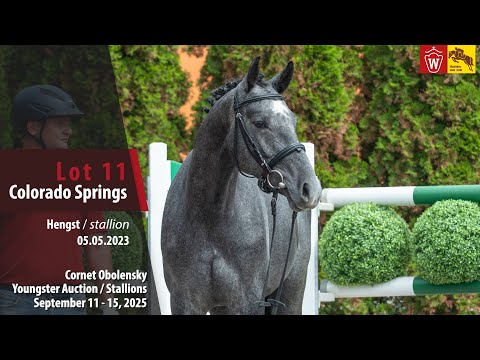 Cornet Obolensky Auction Lot 11 Colorado Springs Hengst v.Cornet.Obolensky - Captain Fire
