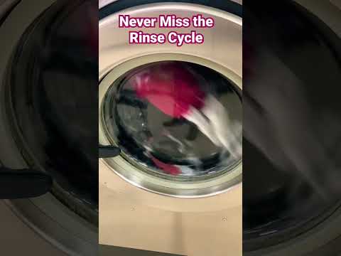 Don’t Miss The Rinse Cycle #shorts #laundrytips