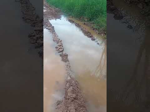 Ramal Antônio das tintas Bujari Acre.