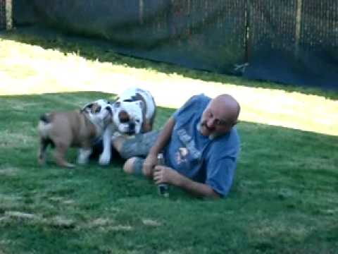 bobby joe and the boys