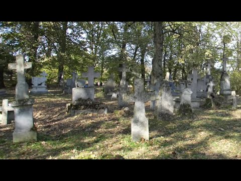 II Stypendium Twórcze, Julia Zarzecka -  śpiew, pieśni pogrzebowe i o wszystkich świętych.