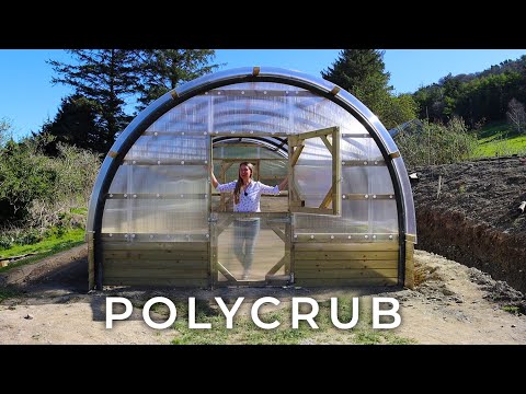 Meet the POLYCRUB // my greenhouse-polytunnel hybrid