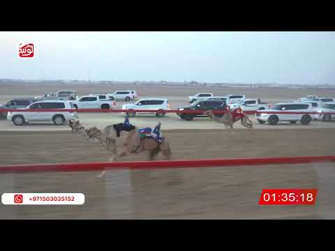  ش 2 (رعد) لـ غالب علي بن حمد الحافري 2:54:69 ، شارة الصندوق 2026/08/21 فطامين الوثبة