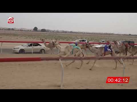  ش 16 (الشبابي) لـ إبراهيم عمر 2:11 , شارة الصندوق 2026/04/04 فطامين سويحان