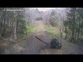 Mother Bear Charges At Van Driving Down Forest Road
