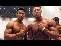 Japan Pro Qualify 2018! ～IFBBプロへの道！