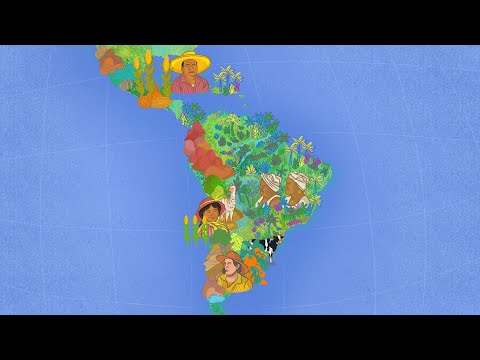 ¿Qué agroecología necesitamos?