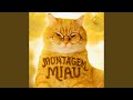 MONTAGEM MIAU
