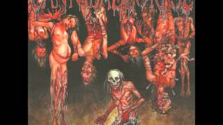 Cannibal Corpse - Followed Home then Killed